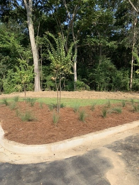 Landscaping and Landscape Restoration