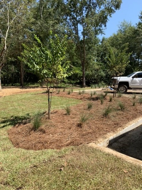 Landscaping and Landscape Restoration