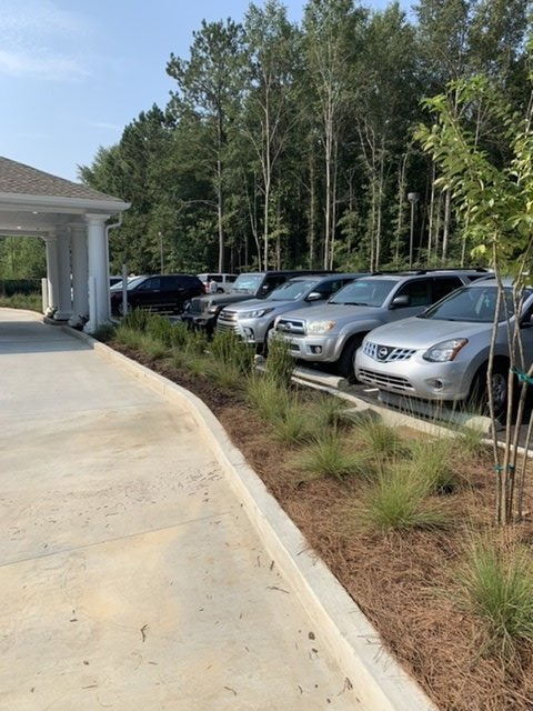 Landscaping and Landscape Restoration