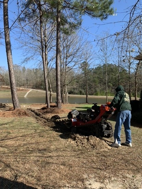 Landscaping and Landscape Restoration