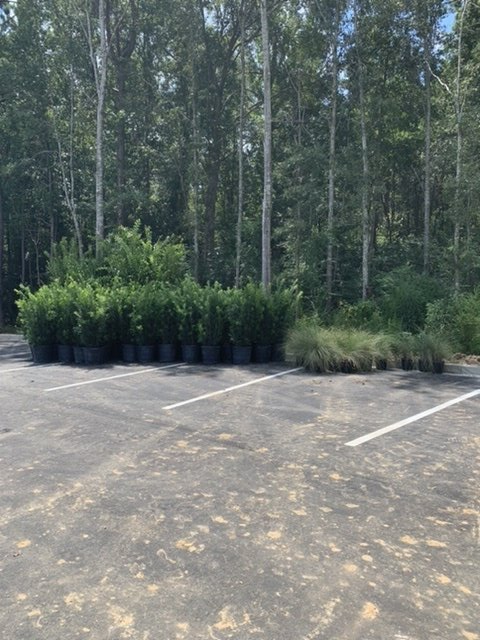 Landscaping and Landscape Restoration