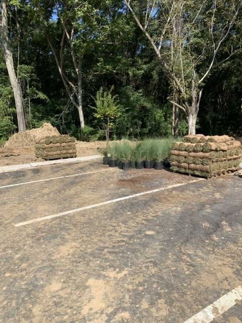 Landscaping and Landscape Restoration