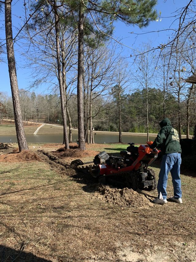 Landscaping and Landscape Restoration