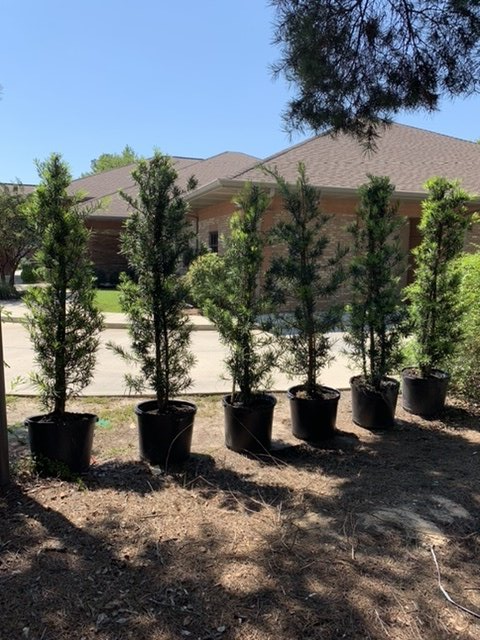 Landscaping and Landscape Restoration