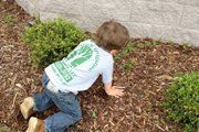 Landscaping and Landscape Restoration