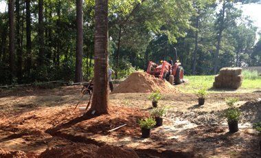 Landscaping and Landscape Restoration