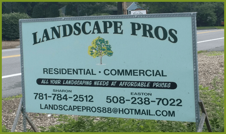 Business banner