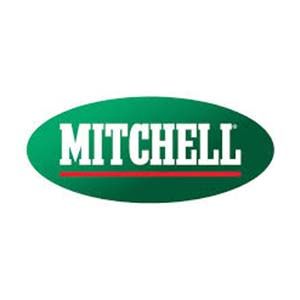 A green oval with the word mitchell on it.