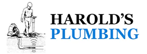 Harold&rsquo;s Plumbing logo with black and blue text and a plumber illustration on the left