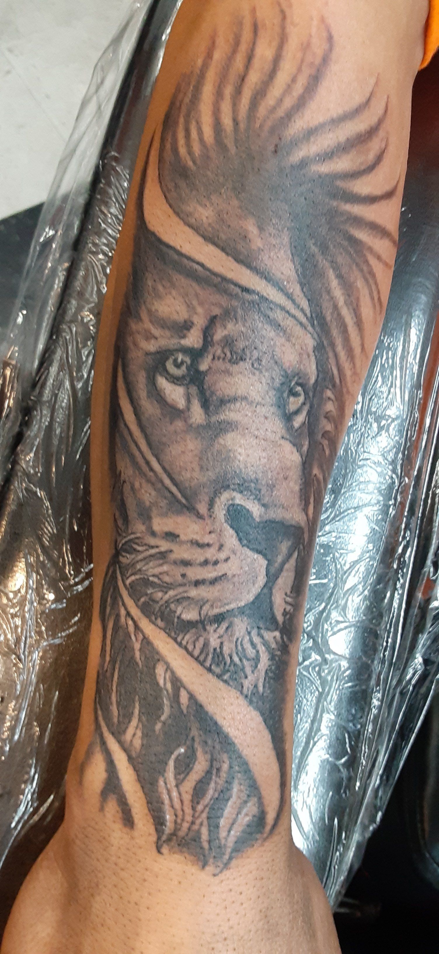 lion tattoo