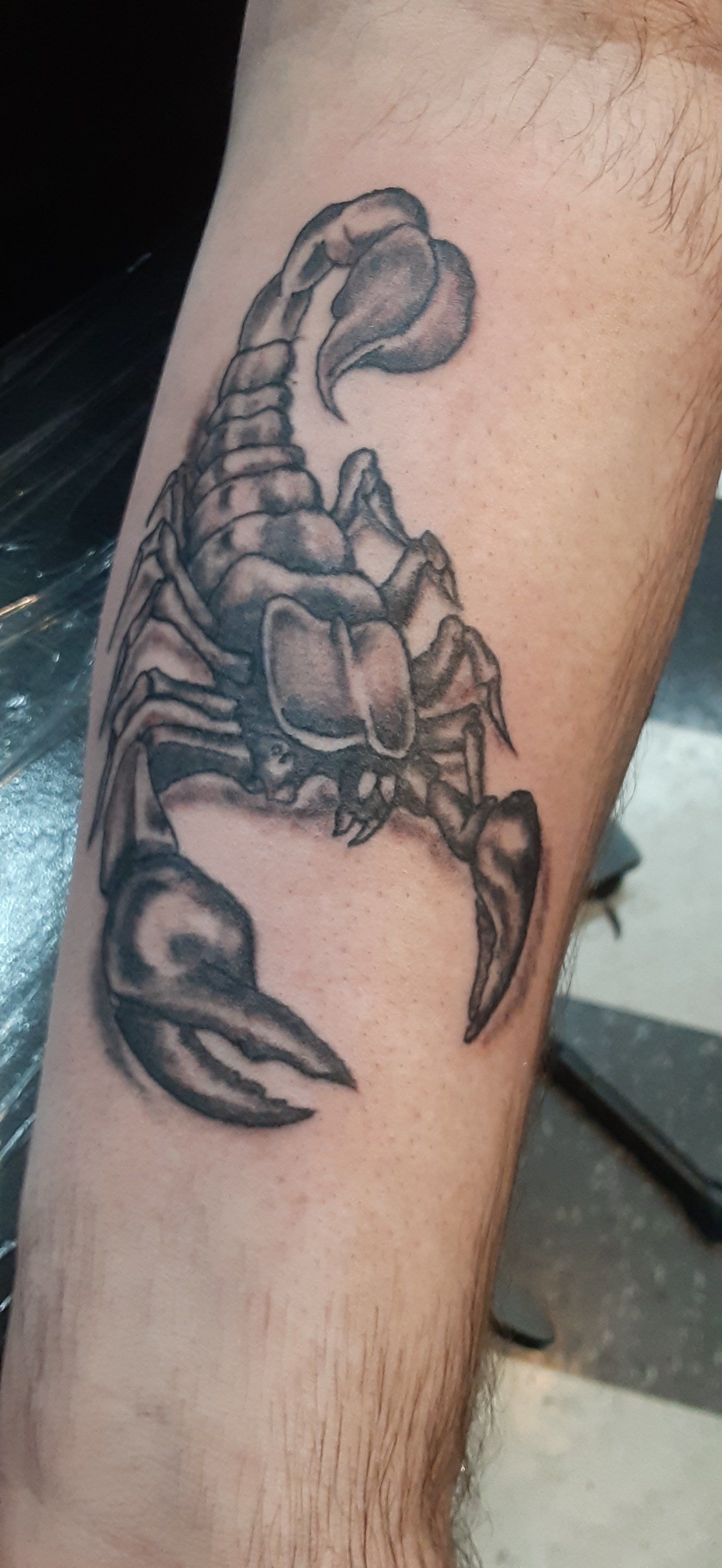 scorpion tattoo