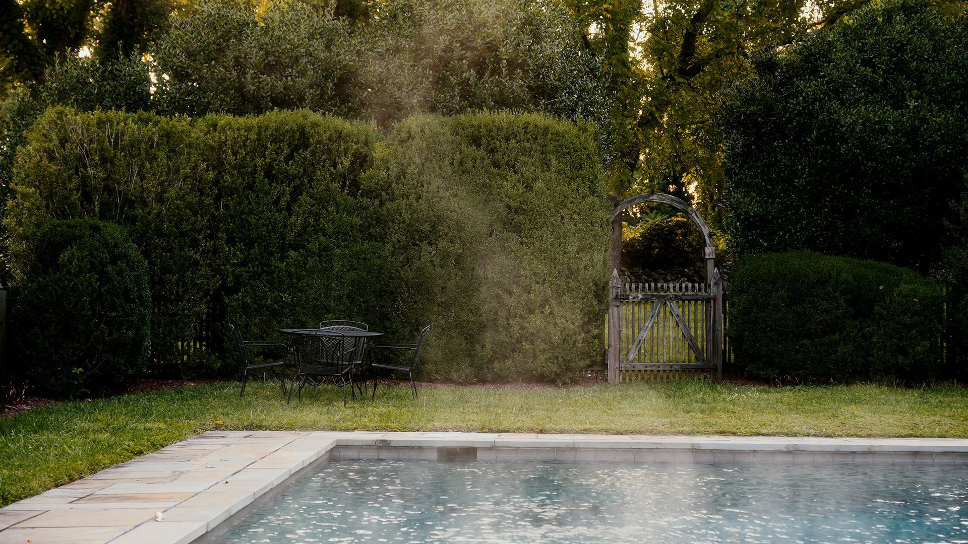 A swimming pool in a backyard surrounded by trees and bushes.