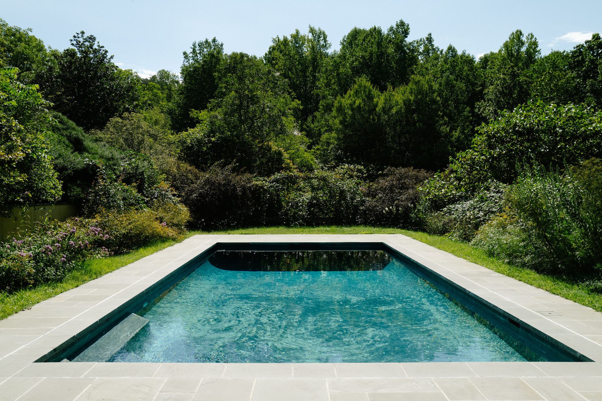A large swimming pool surrounded by trees on a sunny day