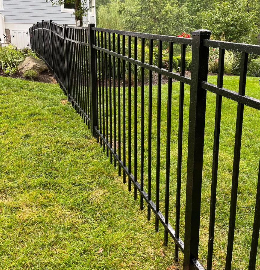 Black metal fence in a grassy yard.