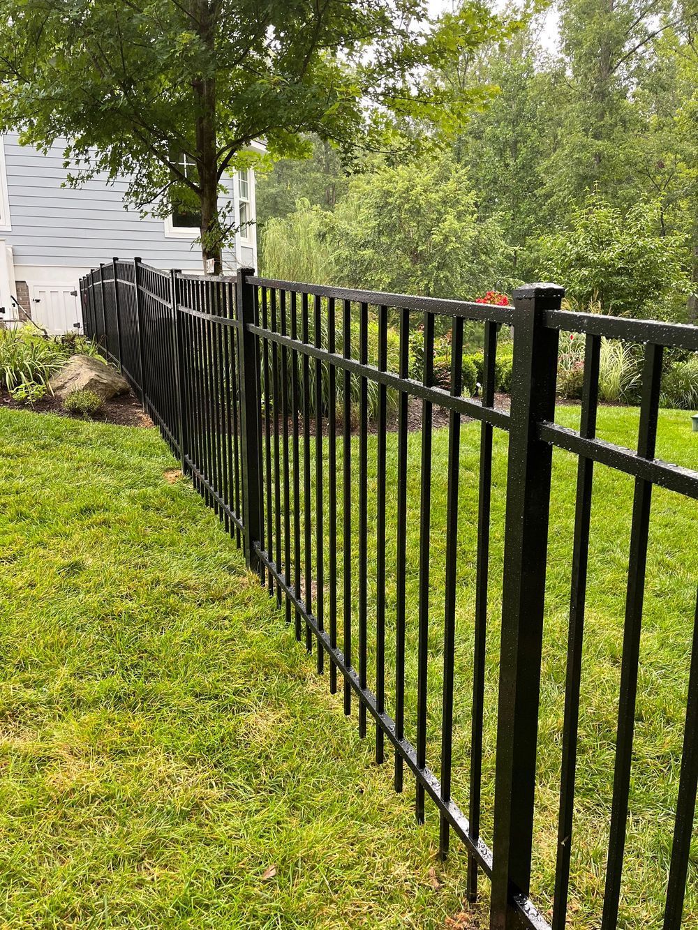 Black metal fence along a grassy yard, with a building and trees in the background.
