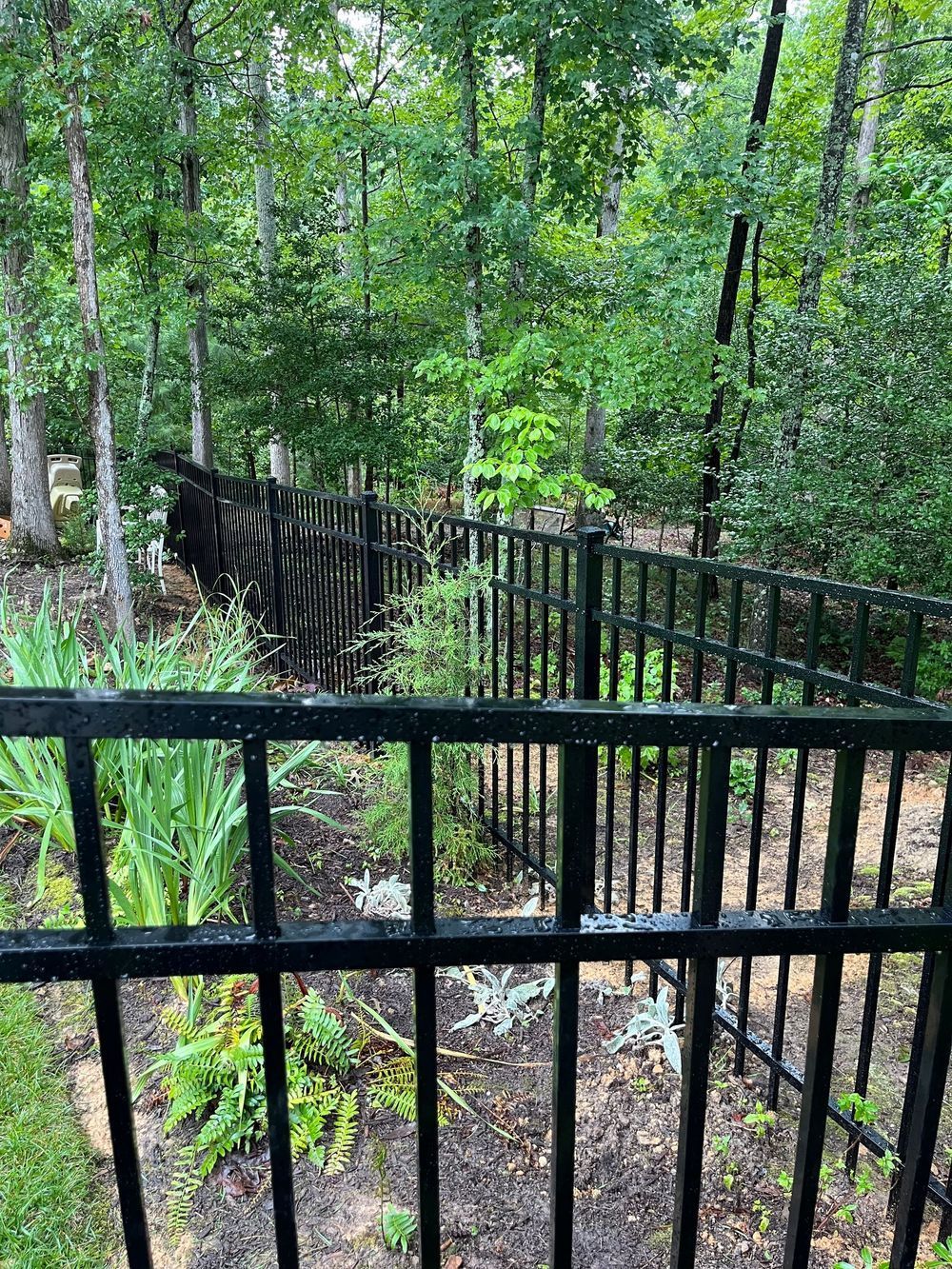 Black metal fence leaning and damaged, surrounded by plants and trees in a wooded area.