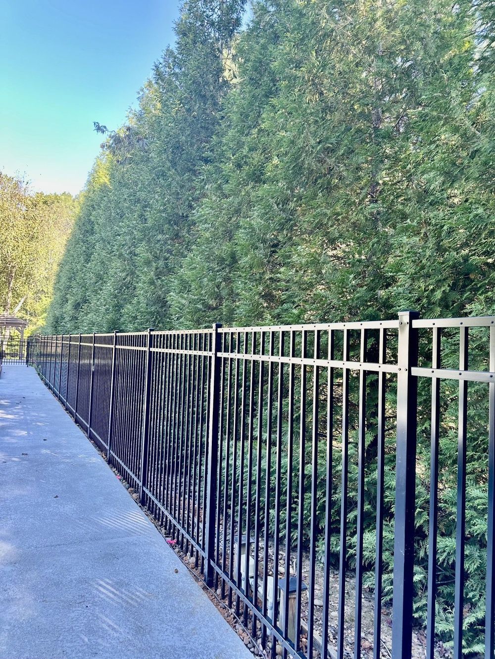 Black metal fence along a gray walkway, with tall green trees in the background.