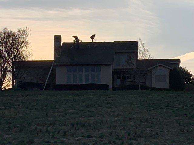 A house silhouetted against a sunset sky; a ladder leans against the building.
