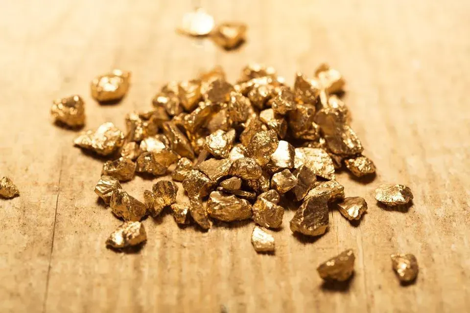 Pile of gold nuggets on a wooden surface