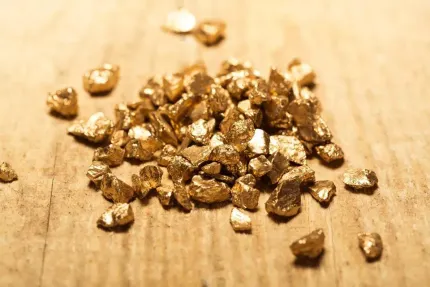 Pile of small gold nuggets on a wooden surface