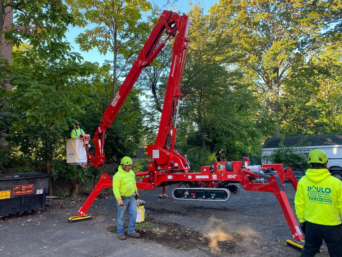 Project Gallery Paulo Landscaping & Tree Removal, LLC.