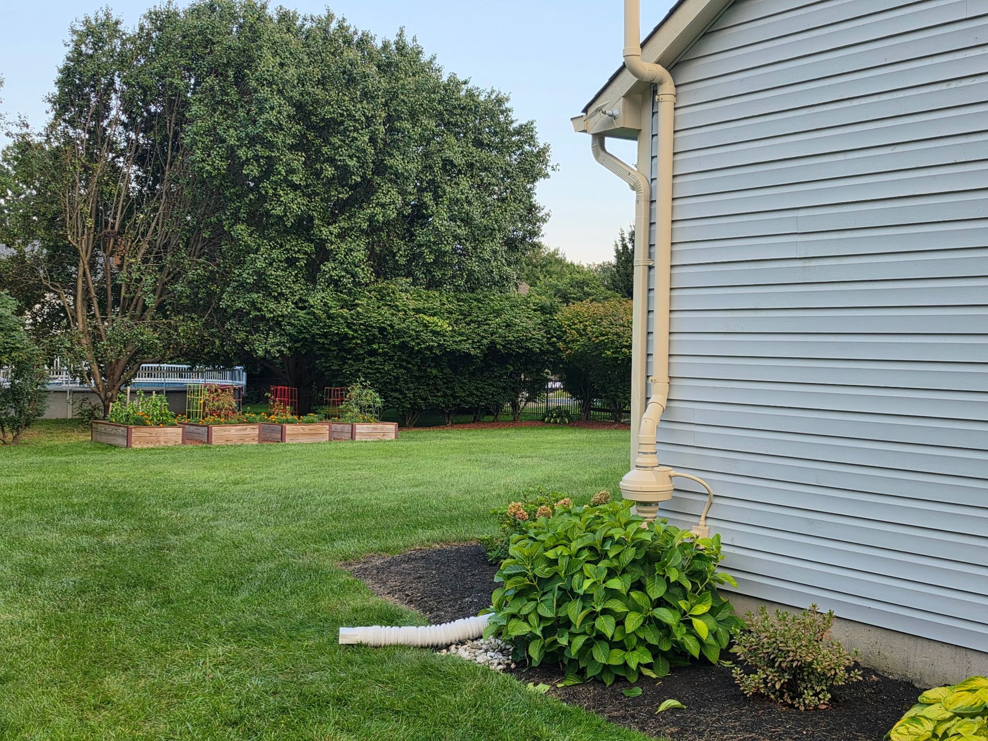 Backyard lawn beside a blue house, with shrubs, flowers, and a covered patio in the distance