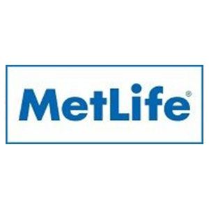 MetLife logo in blue text inside a thin blue rectangle on a white background