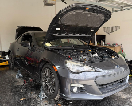 renew-auto-collective