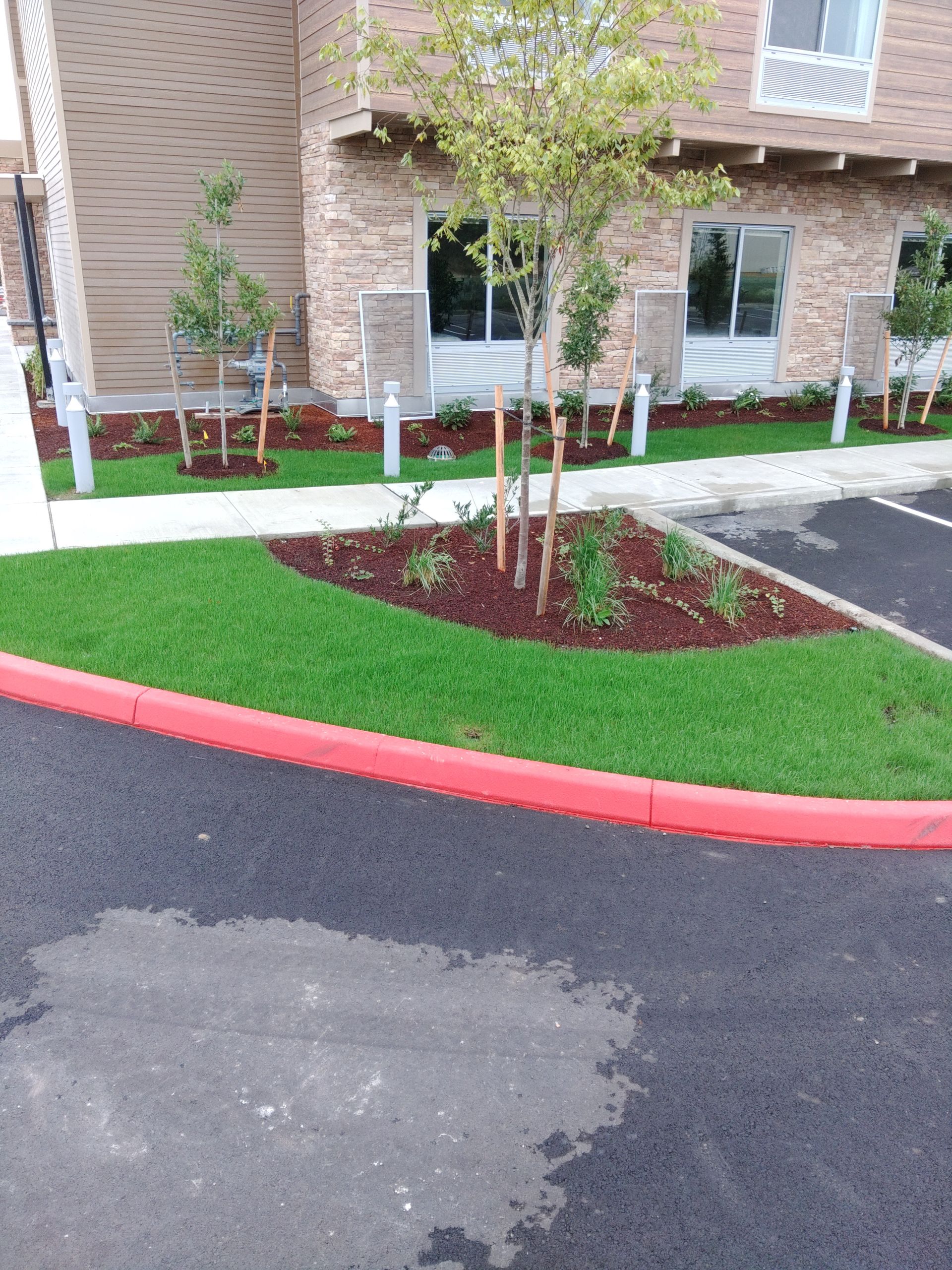 a lawn with a red curb in front of a building