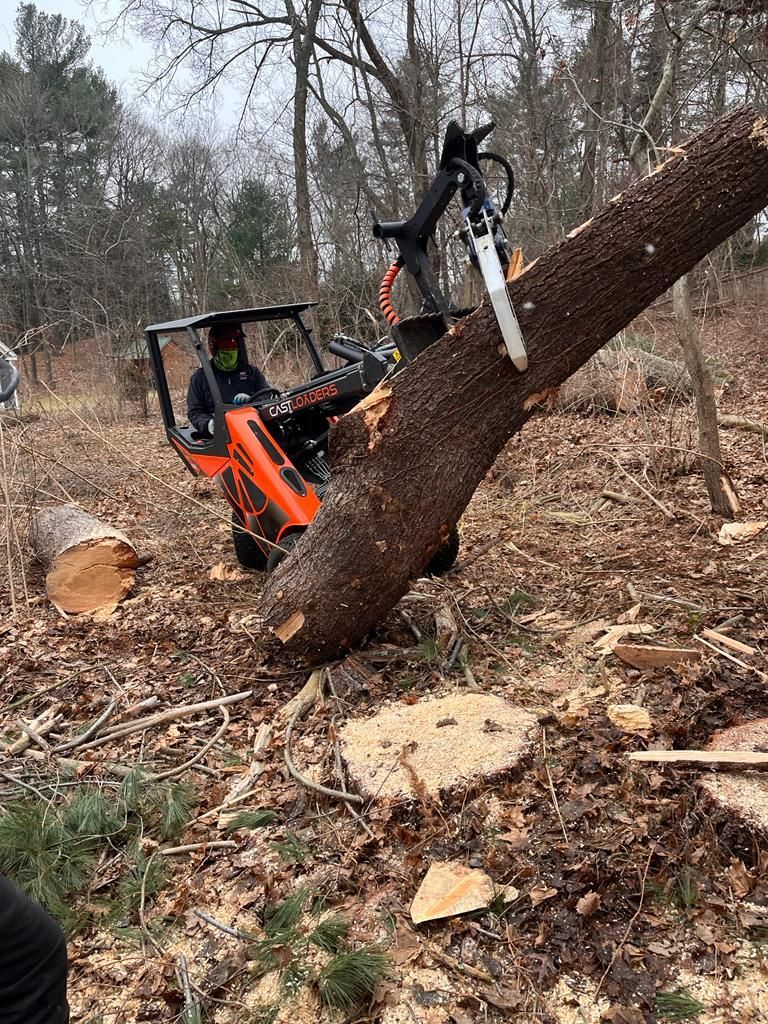 A person operates an orange skid steer equipped with a grapple chainsaw attachment to lift a large fallen tree trunk.
