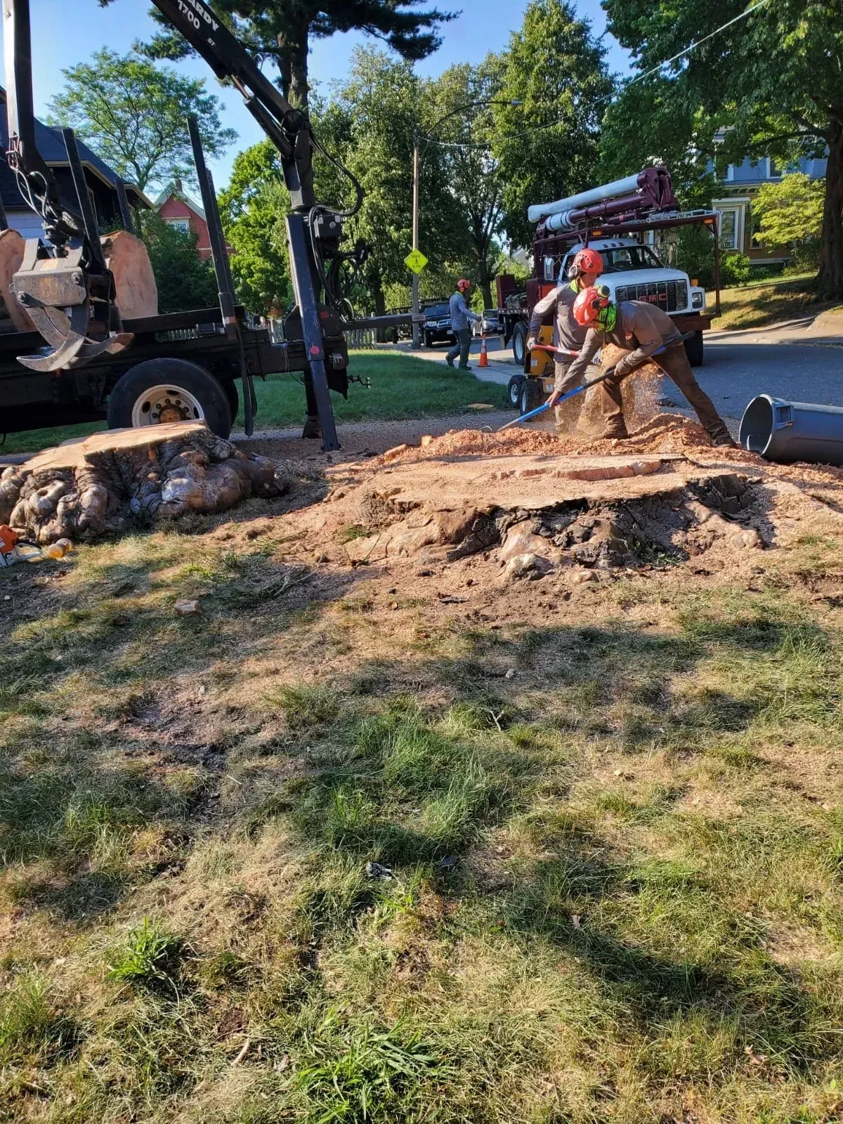 Workers use a crane and a stump grinder to remove large tree stumps from a residential lawn on a sunny day.