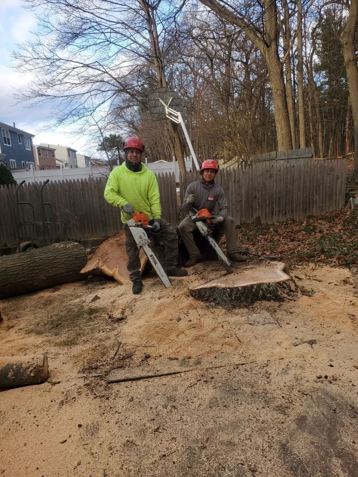 Two workers in hard hats and safety gear stand outdoors with chainsaws near a freshly cut tree stump and wood debris.