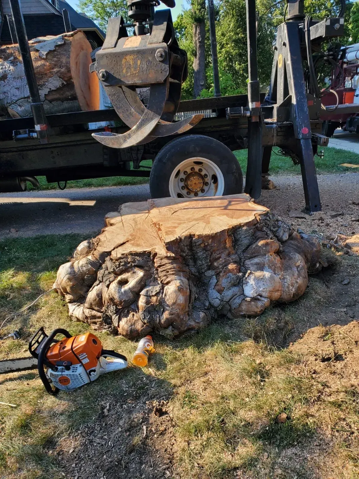 A large, knobby tree stump sits in a grassy area next to a chainsaw and a logging truck with a grapple attachment.