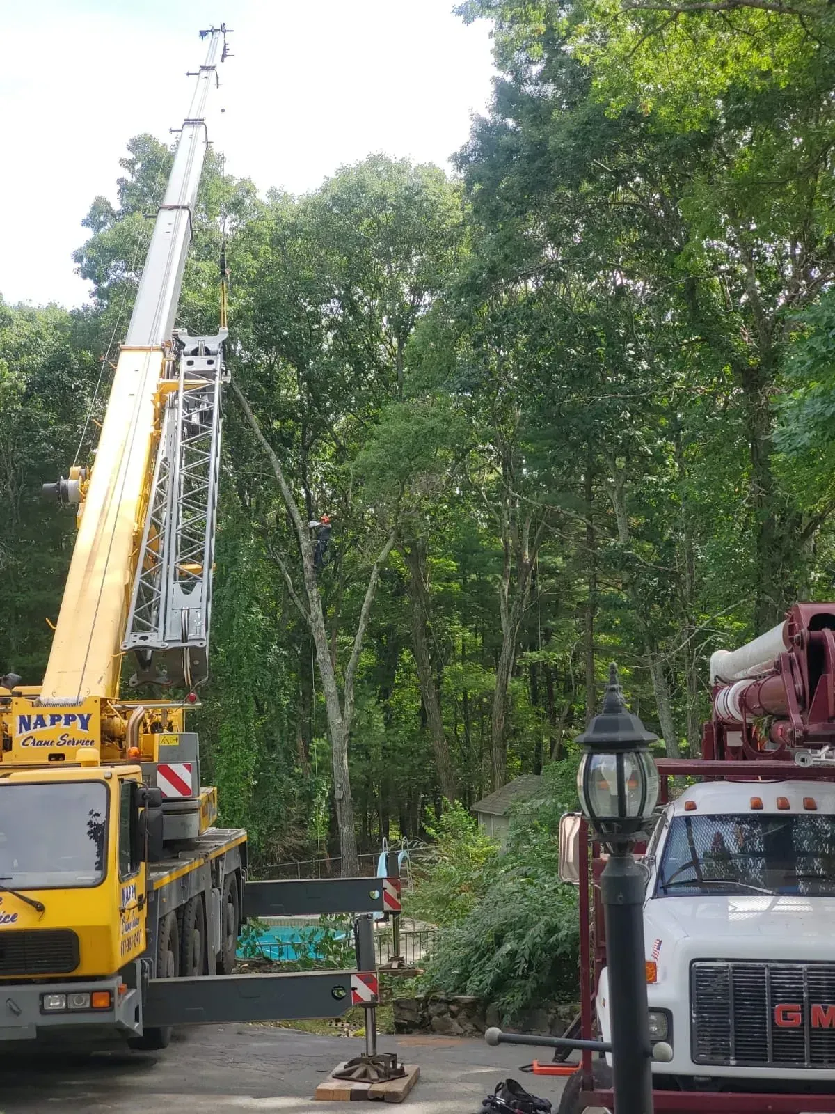 A yellow crane and a white GMC utility truck parked on a residential street during tree removal work.