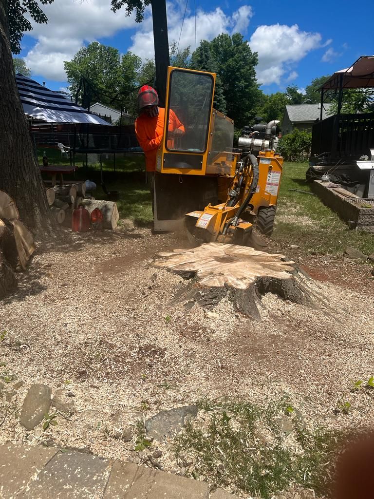 A worker in bright orange safety gear operates a yellow stump grinder on a tree stump in a sunny, grassy backyard.