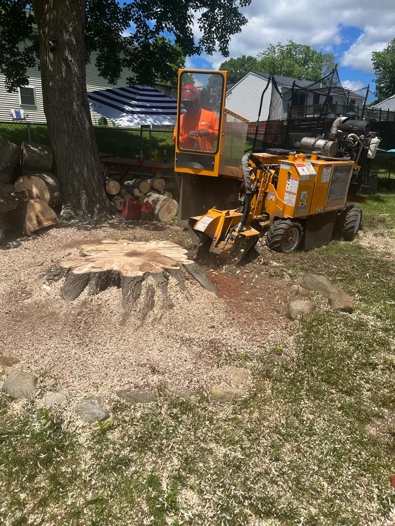 A yellow stump grinder cuts into a large tree stump in a sunny, grassy yard.