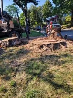 Workers removing a large tree stump with machinery in a residential neighborhood.