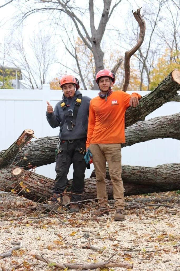 Two tree service workers in hard hats and safety gear standing in front of a large, freshly cut tree in a yard.
