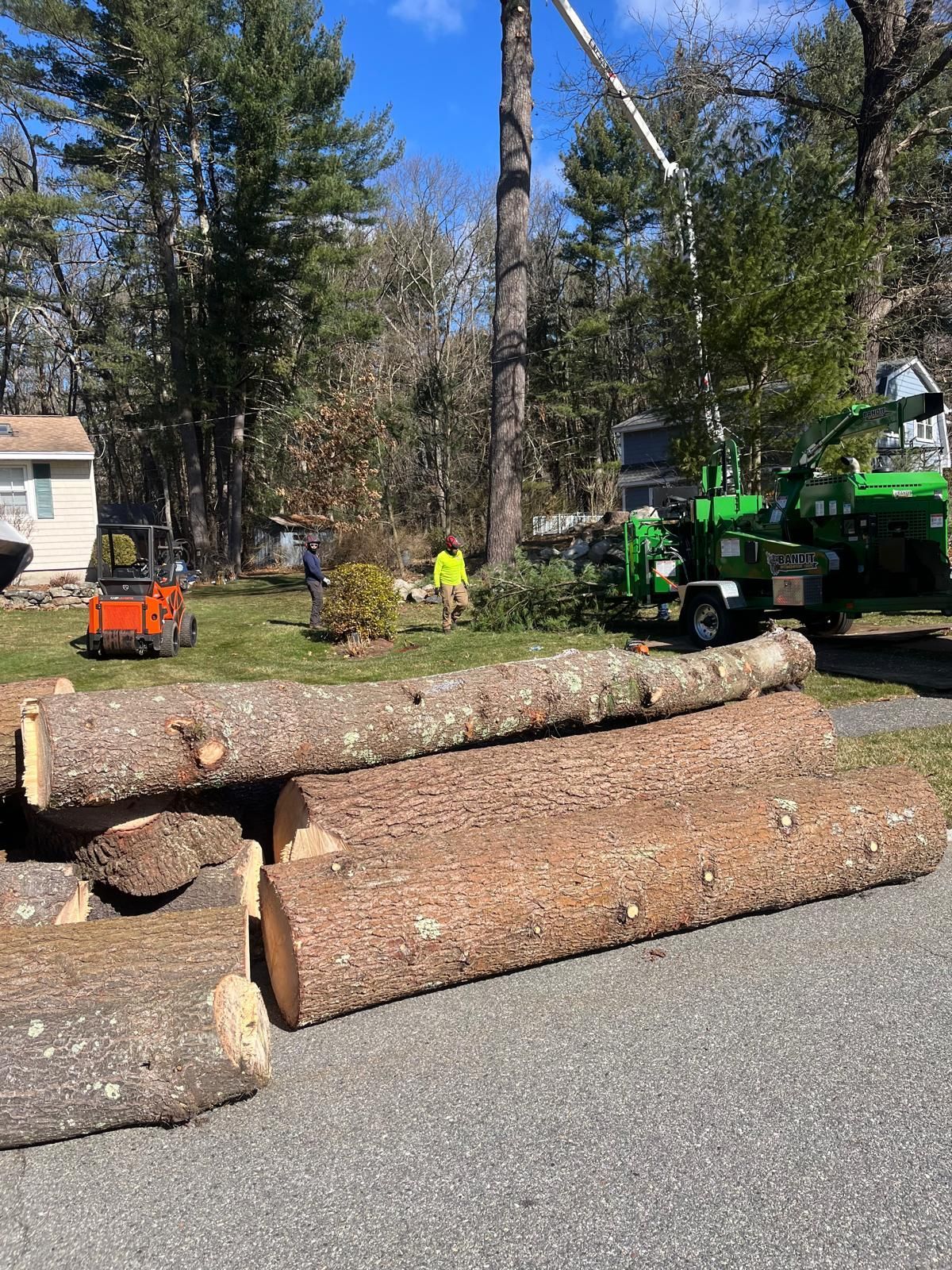 Workers operate heavy machinery and a wood chipper during tree removal in a residential yard with several logs in the front.