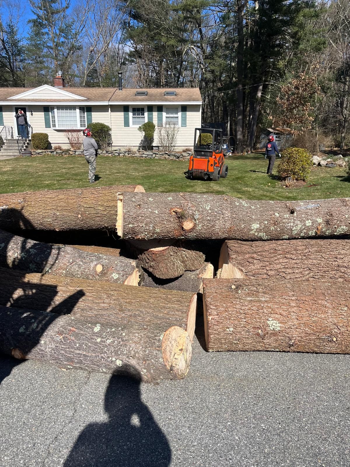 Logs stacked in the foreground with a house and people working with a small construction vehicle in the background.