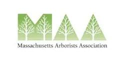 Member of Massachusetts Arborists Association