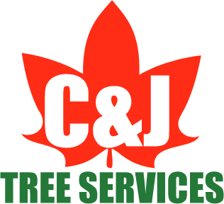 C & J Tree Services