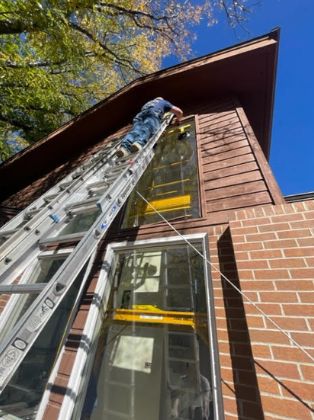 A man is standing on a ladder on top of a brick building.
