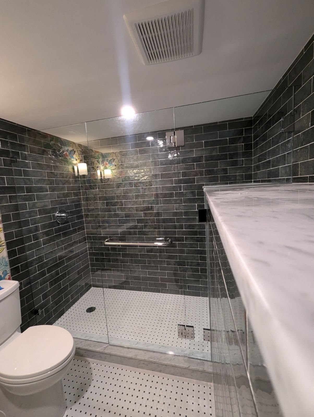 A bathroom with a toilet and a walk in shower.