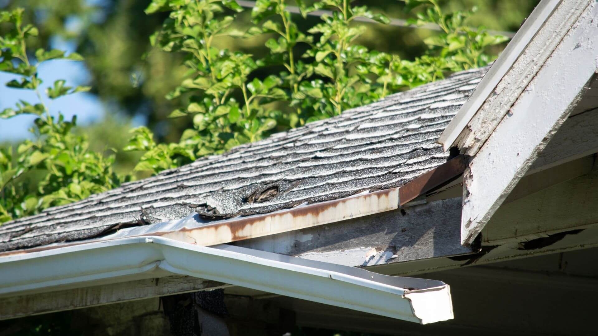Damaged house roof with missing shingles and exposed wood trim under green trees