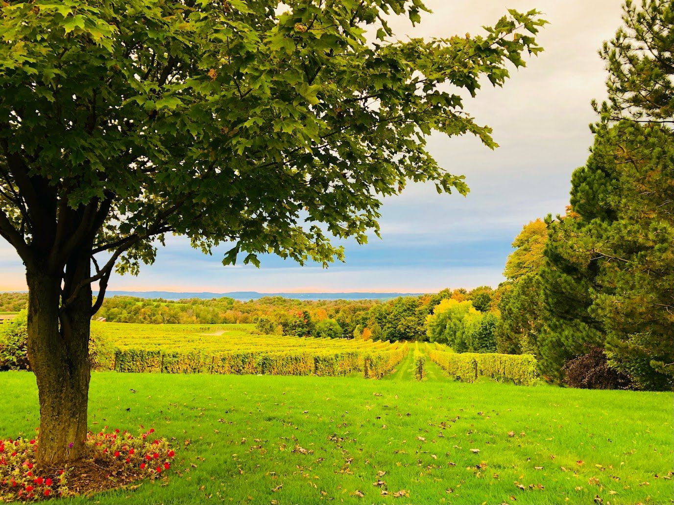 Recreation Area Relaxation Area South Boardman, MI