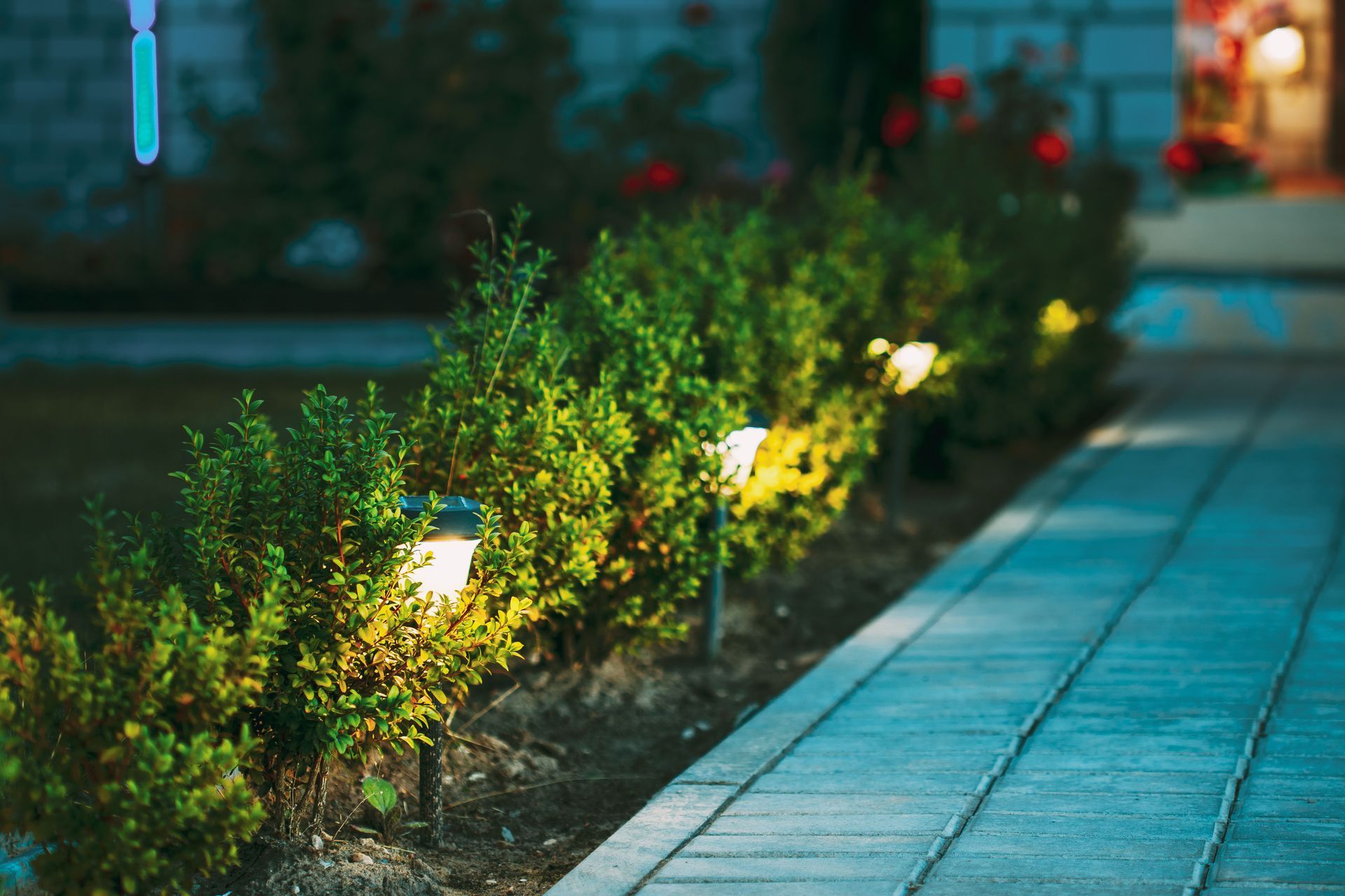 landscape lighting