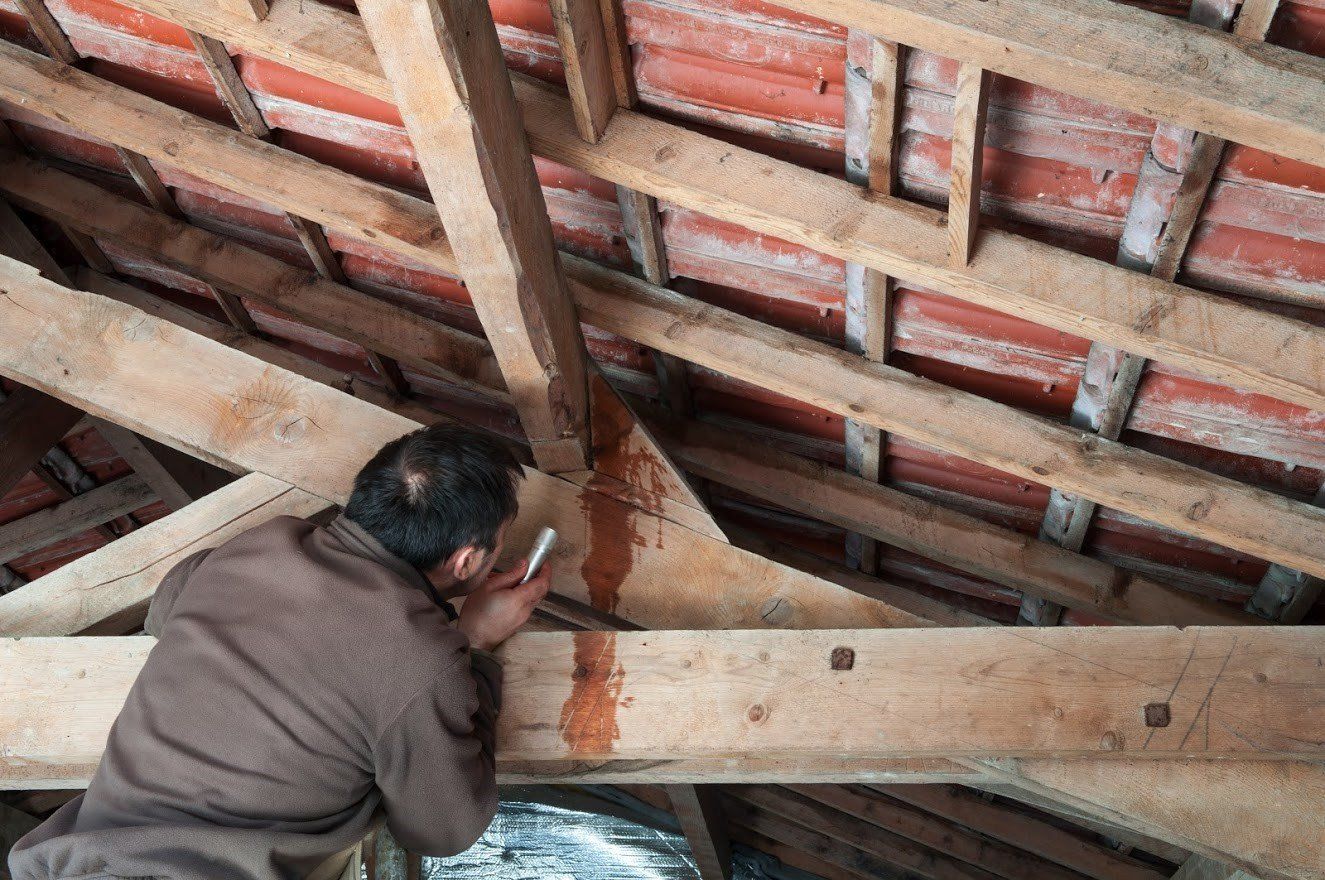 A person examines a wooden roof structure, looking at water stains.