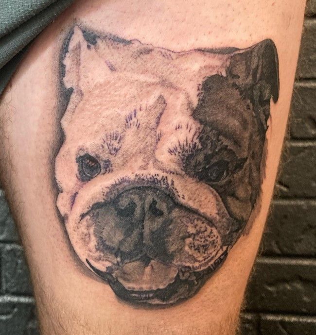 A man has a tattoo of a bulldog on his leg