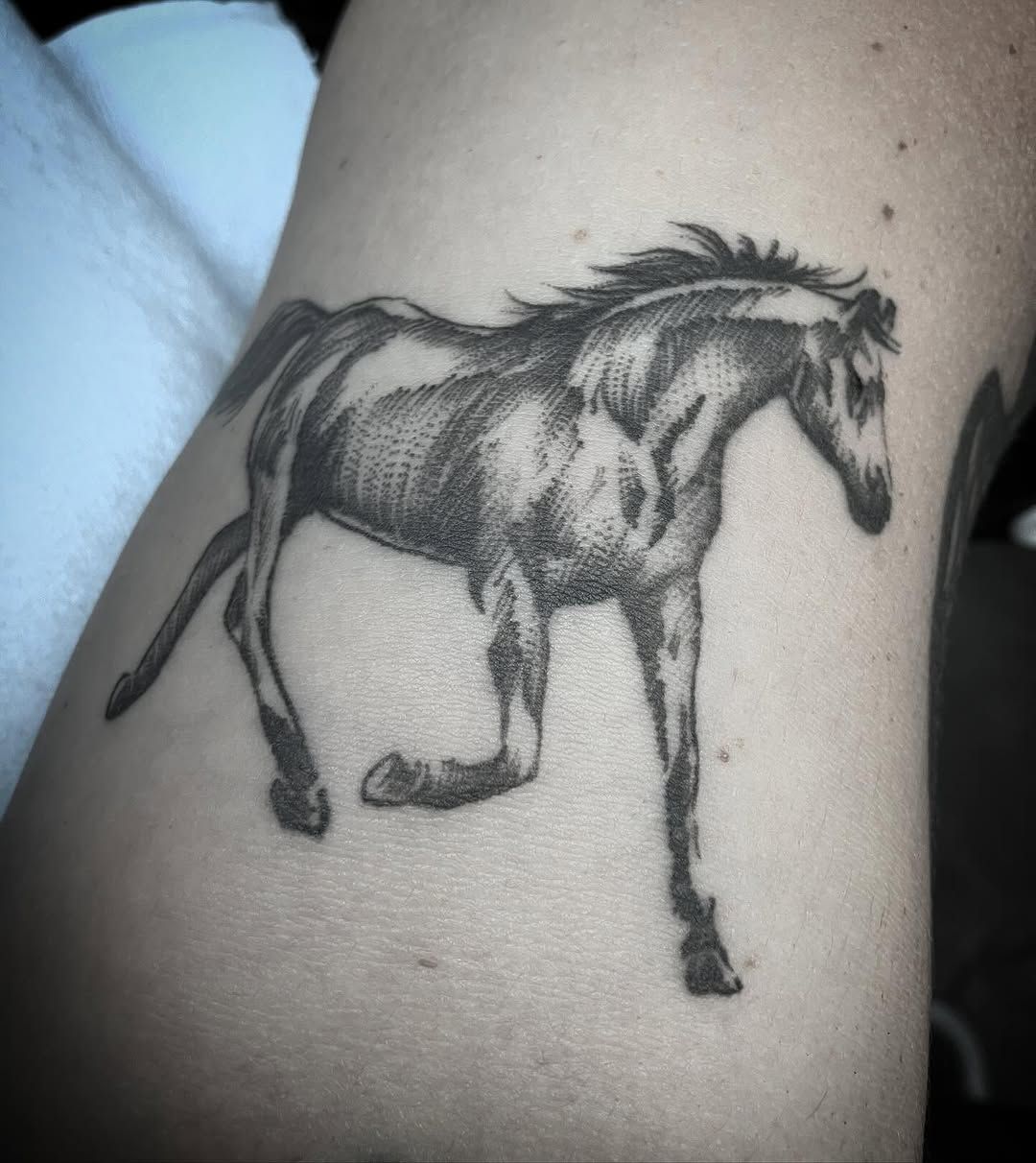 A black and white tattoo of a horse on a person 's arm.